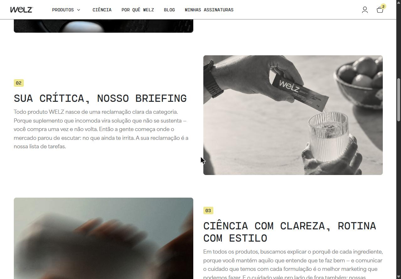 Títulos de seção inteiros em caixa alta na página Por quê Welz